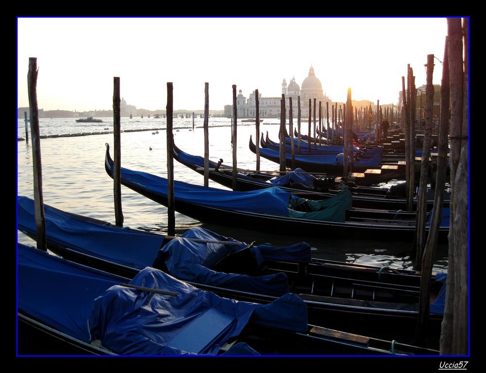 Mare E Laguna *